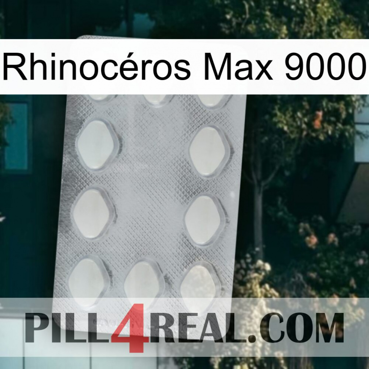 Rhinocéros Max 9000 16